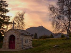 Lodges Au Coeur des Puys : photos des chambres