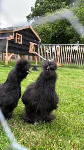 Heitse B&B en vakantiewoning