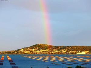 Appartements chez le tit : photos des chambres