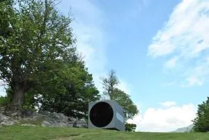 Birdbox Curzútt - Moleno