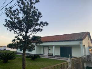 Green Tropical House