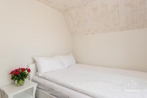 Grit House, Čiki Puki kvartale, Kunigiškiai