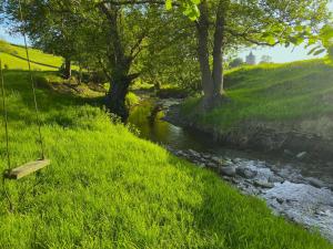 Dôl Swynol Glamping Luxury cabin with outdoor bath