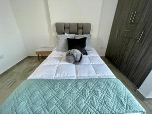 202-401PP Nuevo Apartamento Moderno y Central