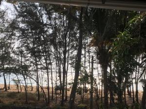 Sunshine Beach Villa - Kuzhuppilly