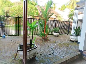 Meninting garden house