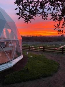 Melograno Bubble Glamping