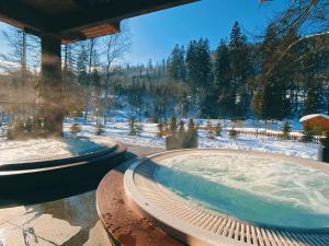 Aries Hotel & SPA Wisła