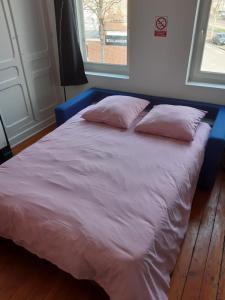 Appartements Amiens magnifique appartement Frida : photos des chambres