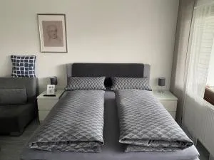 Apartment Goethe - 莱茵河畔威尔