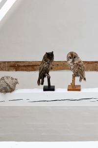 Gartnerhuset på Kollerup