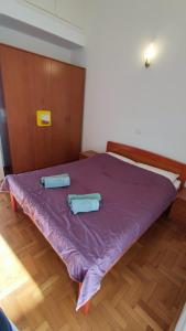 Apartman Sael, Medulin