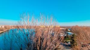 Italianway - Nona Strada 7