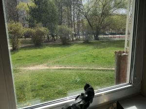 Vieno kambario butas su balkonu