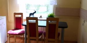 Vieno kambario butas su balkonu