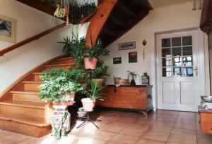 Marta's House 