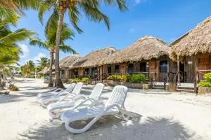 Captain Morgan's Retreat - Basil Jones