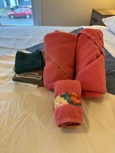 The Yellow Door 3-bedroom downtown near VT&RU