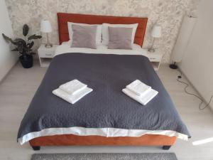 Delightful Studio Brâncuși