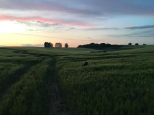 Broockhof Ferienwohnung unterm Sternenhimmel in Mecklenburg