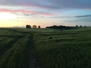 Broockhof Ferienwohnung unterm Sternenhimmel in Mecklenburg - Dobbertin