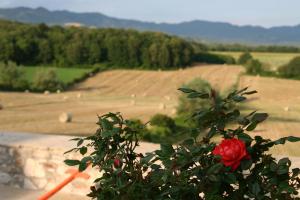 Il Nido di Gabbiano