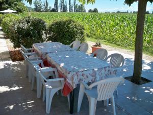 Maisons de vacances Logis Gascons Gite 1 : photos des chambres