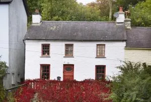 Arwel - Llandyssiliogogo