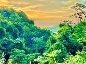 CASA BUHO and COZY JUNGLE CABANA