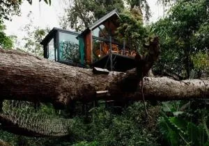 Wilderness Treehouse - Ban Pang Champi