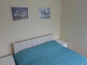 Apartament Zebra