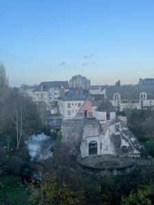 Appartements Ideal gare aeroport centre-ville Beauvais : photos des chambres