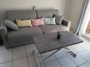 Appartements T2 avec piscine-Le family 67 : photos des chambres