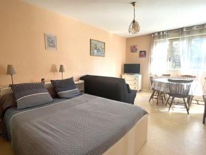 Studio Aix-les-Bains, 1 pièce, 2 personnes - FR-1-555-80