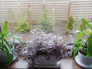 Estancja - dom wakacyjny