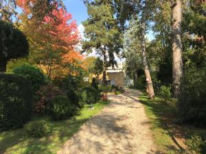 Studio fond de jardin