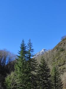 Casa Vacanze IL BOSCACCIO "Casa Serena"