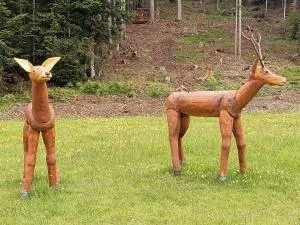 Natura e comfort - Danta