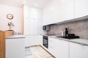 ApartamentySnu, Jagielloński Premium, Centrum