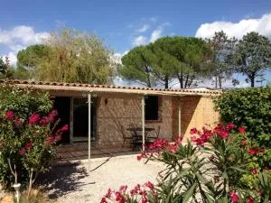 La cigale rouge a callian - 法扬斯