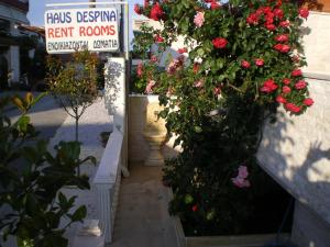 Haus Despina Halkidiki Greece