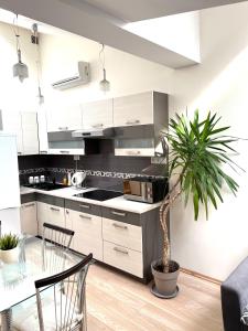 Sunny Apartment near Wawel Hill