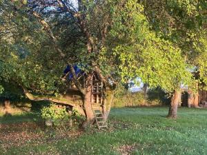 Maisons de vacances Gite du Gue Maraud : photos des chambres