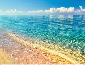 Appartements Moriani Les Marines de Moriani Plage : photos des chambres