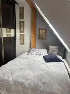 Apartament Mickiewicza