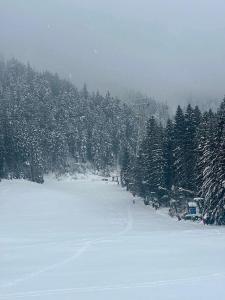 Tâmpa View Cosy flat 2