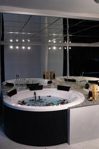 PRESIDENT APARTMANI - Spa apartman, Fenix apartman, Galerija apartman