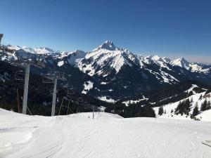 Appartements Le Grizzly Joli studio secteur Chatel - Chapelle d'Abondance : photos des chambres