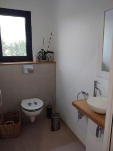Maisons de vacances Loft avec piscine privee en campagne proche Saint Remy de Provence : photos des chambres