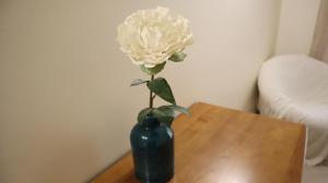 Casablanca By Albufeira Rental